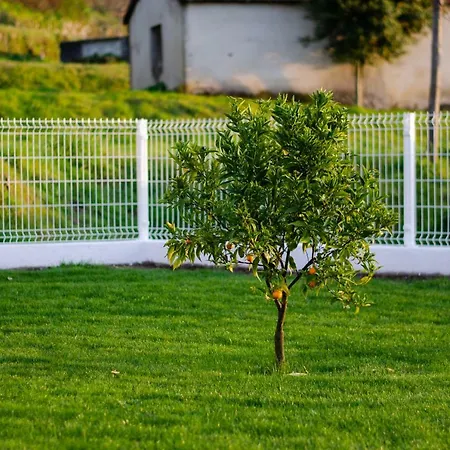 Casa de Campo Casa Leite *